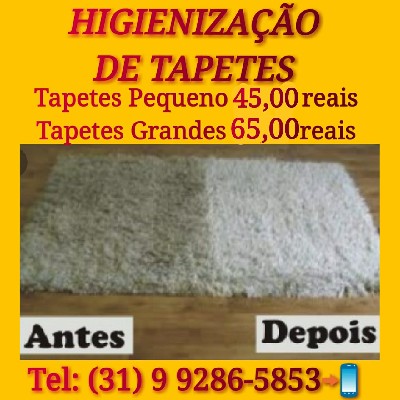 IMG 20190909 WA0020 1 - Higienização Sofá Santa Luzia