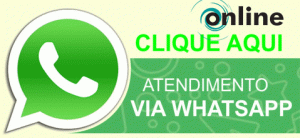 whatsapp gif ok 300x138 - RL Desentupidora e Dedetizadora DF